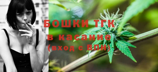 ECSTASY Богородск