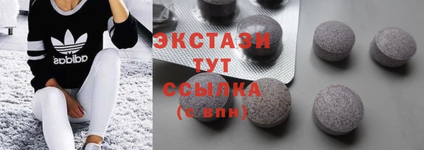 ECSTASY Богородск