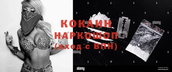 стаф Белокуриха