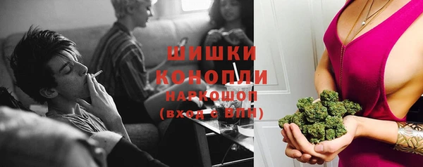ECSTASY Богородск