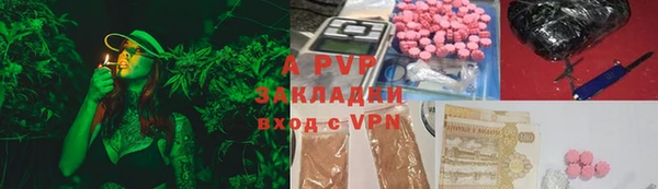 ECSTASY Богородск