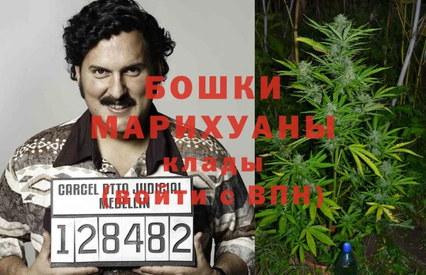 ECSTASY Богородск