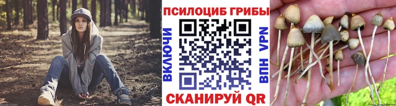 Купить закладки  Майский  Псилоцибиновые грибы ЛСД 